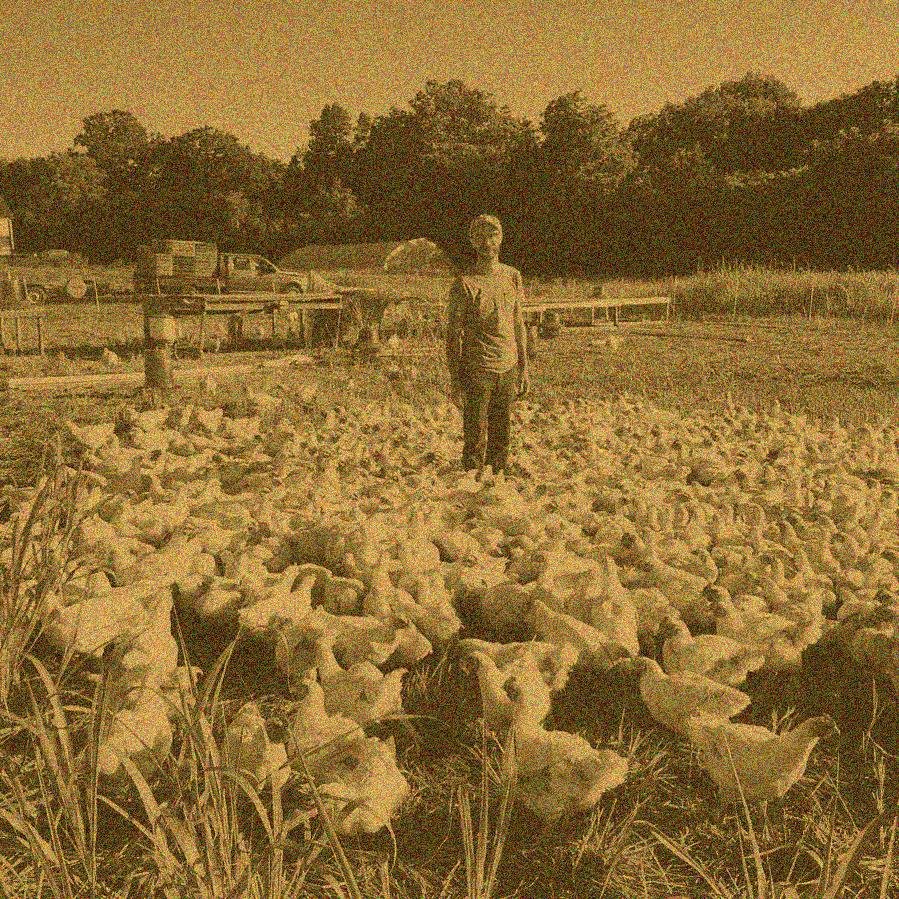 Meat CSA & Bundle Subscriptions