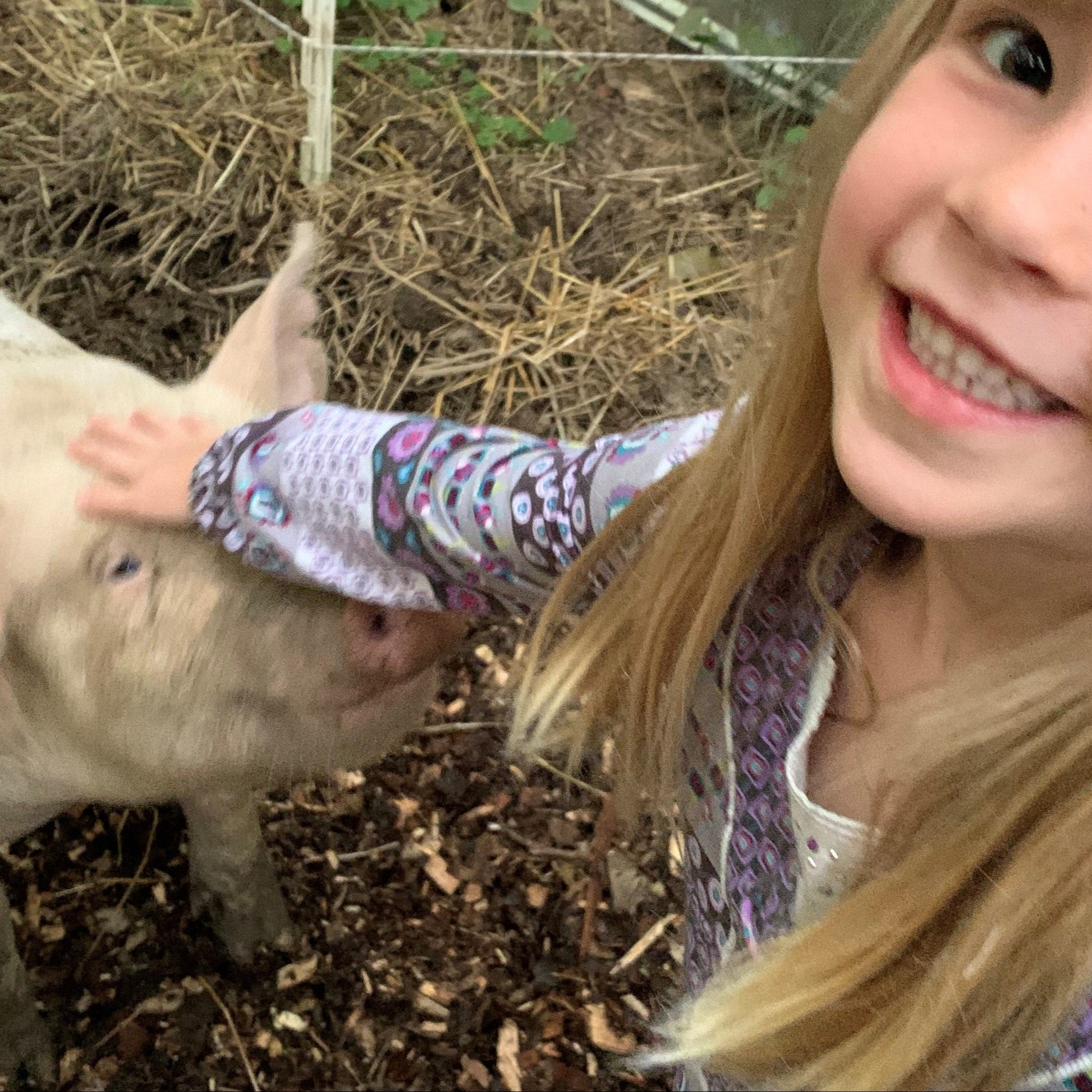 Forest & Field Pork Share